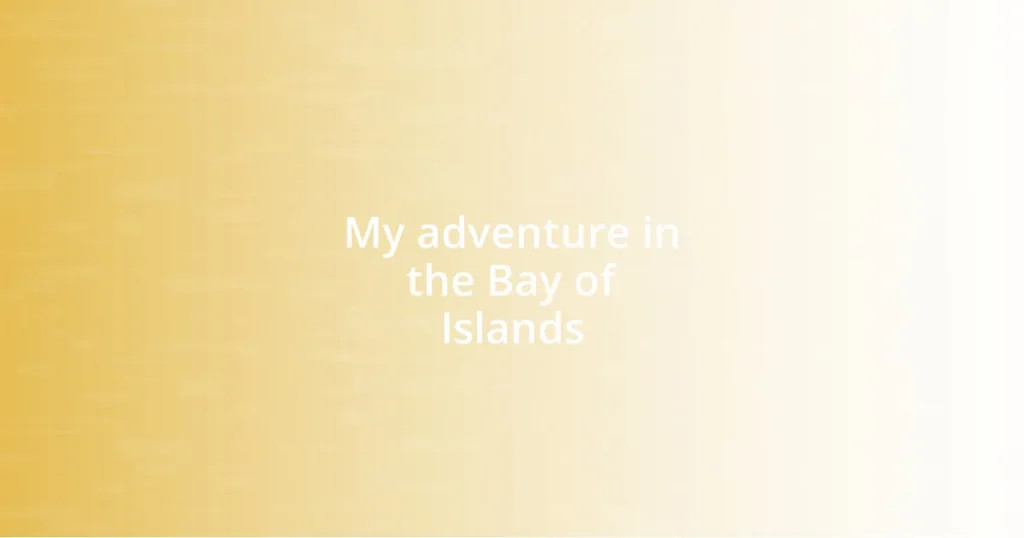 My adventure in the Bay of Islands