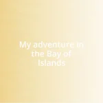 My adventure in the Bay of Islands